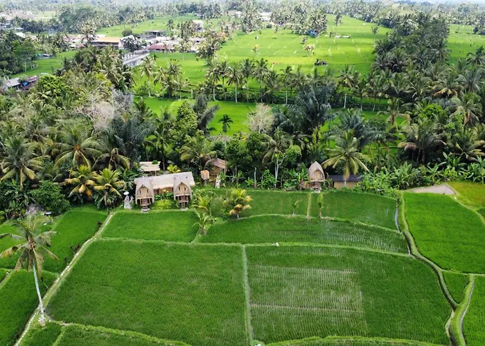 Kawig Bamboo House - Ricefield View, Eco Bamboo Home