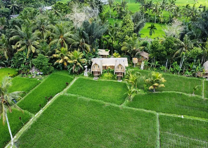 Kawig Bamboo House - Ricefield View, Eco Bamboo Home