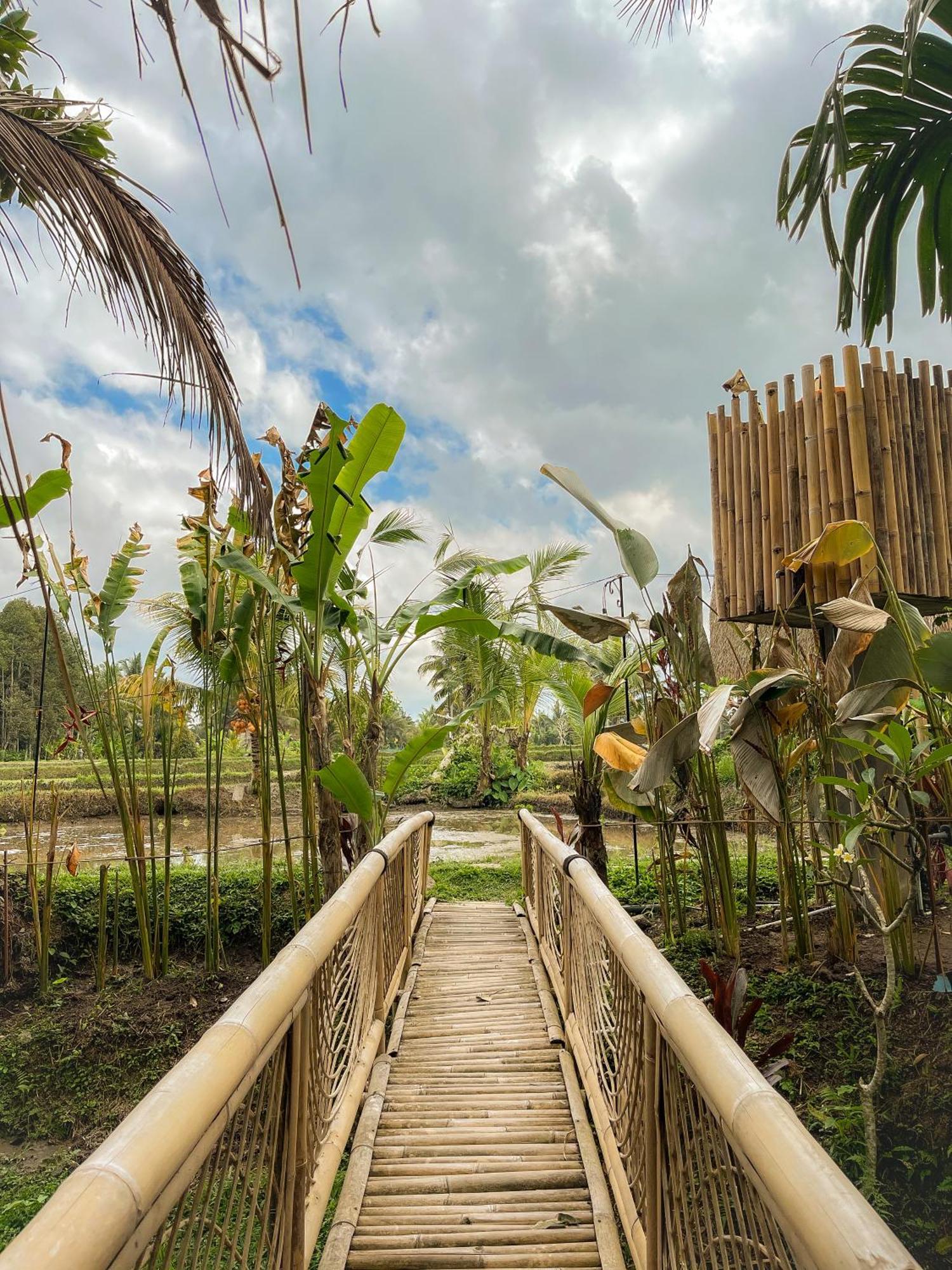 Kawig Bamboo House - Ricefield View, Eco Bamboo छुट्टी का घर
