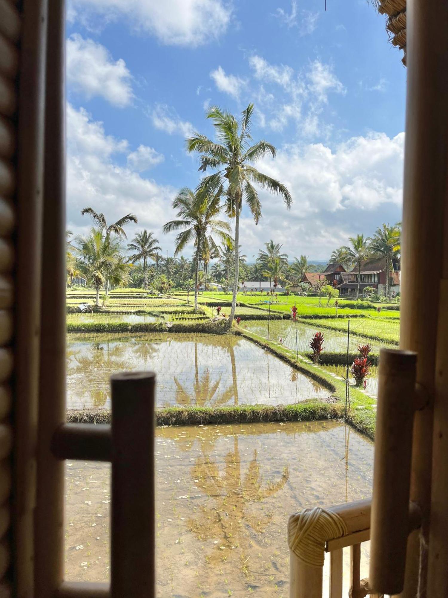 Kawig Bamboo House - Ricefield View, Eco Bamboo Tampaksiring