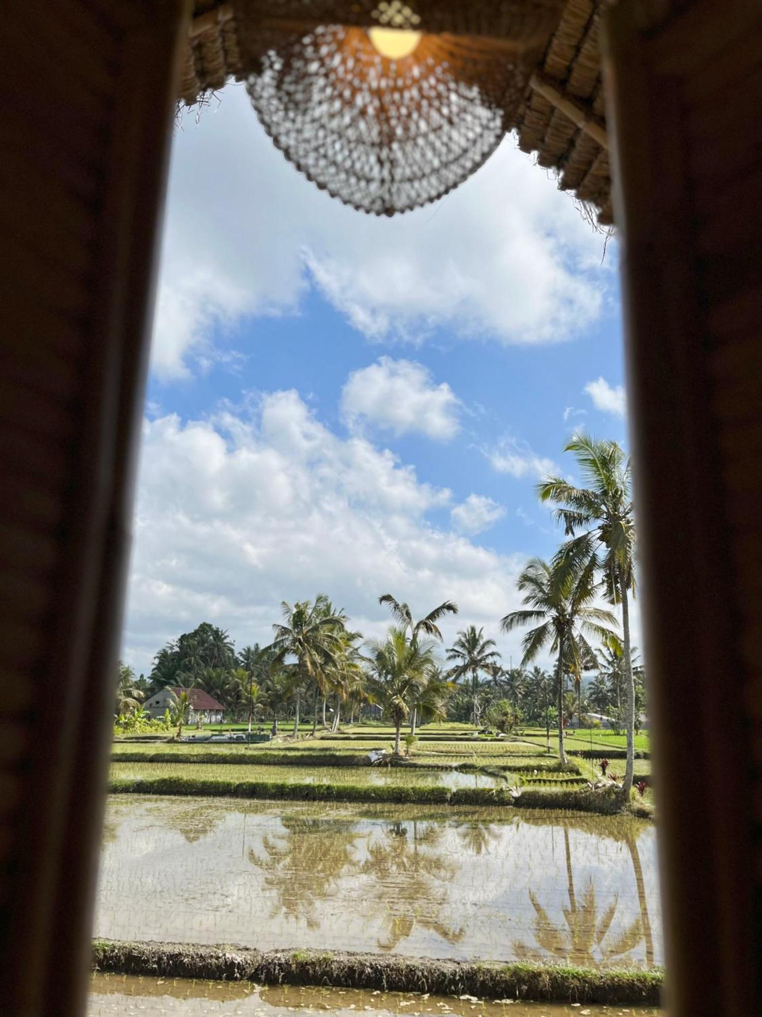 Kawig Bamboo House - Ricefield View, Eco Bamboo